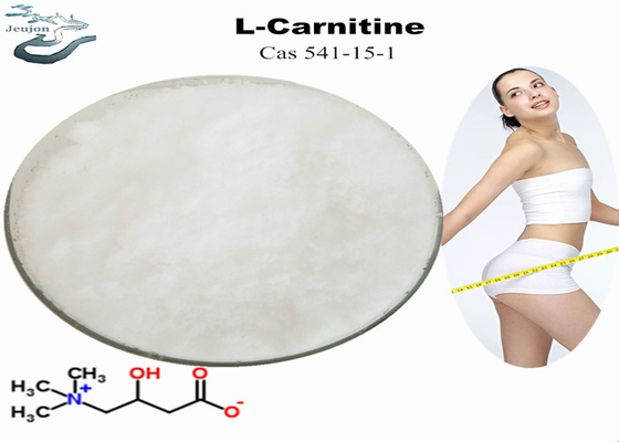 Medicamentação gorda L pó CAS 541-15-1 do queimador de BT da vitamina da perda de peso da carnitina