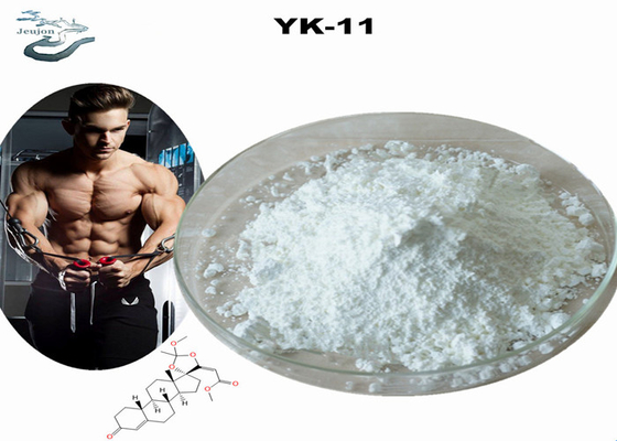 Pureza 99% HPLC Sarms em pó CAS 1370003-76-1 YK 11 em pó de ginástica para crescimento muscular